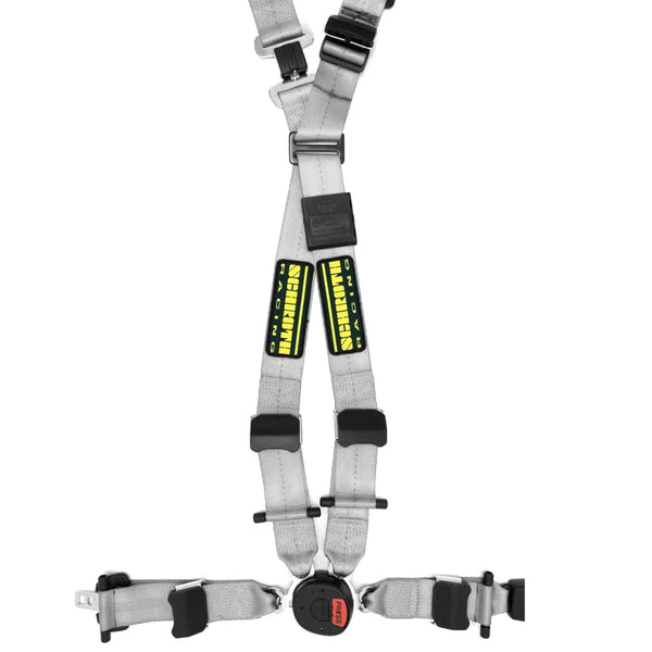 Schroth QuickFit Pro 4 Point Harness - ModMyEuro