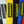 schroth_tuning_harness_pads_2in_with_patch